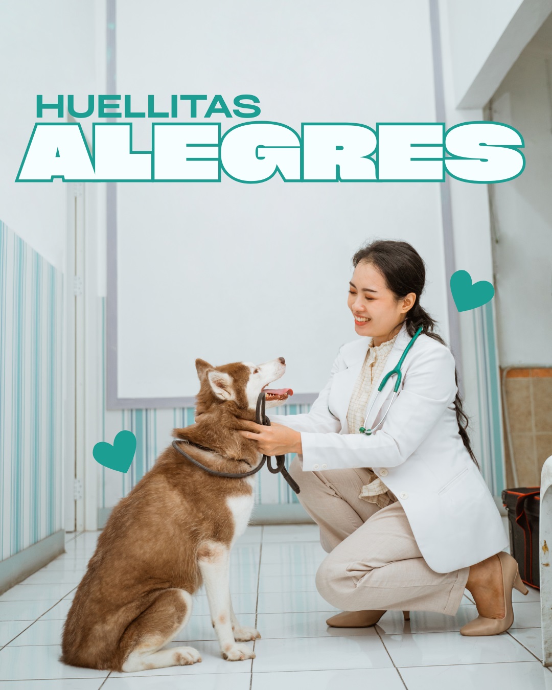 Doctora veterinaria